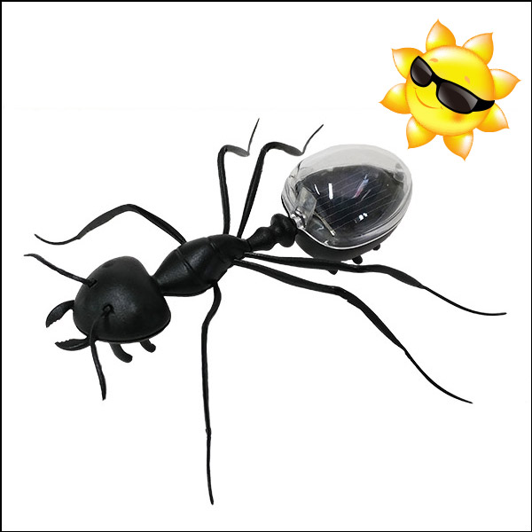 태양광 개미