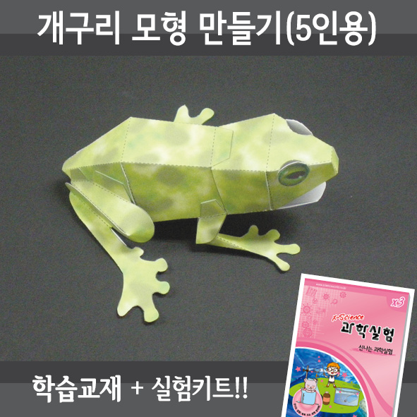 개구리모형만들기(5인세트)